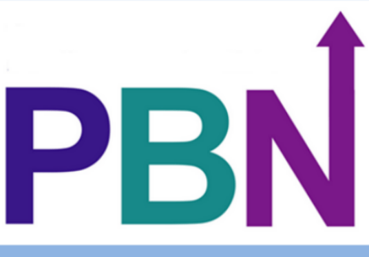 PBN backlinks cheap