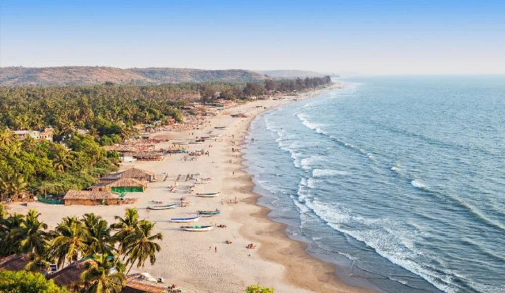 Discovering Goa: The Ultimate Travel Guide - TCS Tracking