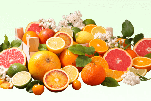 The Health Benefits of Citrus Fruits- A Natural Boost for Your Well-Being